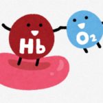 ヘモグロビンと酸素